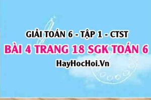 Giải bài 4 trang 18 Toán 6 Tập 1 SGK Chân trời sáng tạo